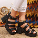 Women's Chunky Heel Wide Strap Sandals 02332141C