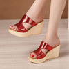 Women's High Heel Platform Sandals with Open Toe 55813181C