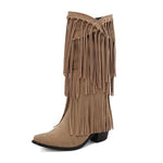 Women's Pointed Toe High Heel Fringe Boots 95134075C