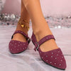 Women's Fashionable Pointed Toe Strap Mary Jane Shoes 30157850C