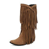 Women's Pointed Toe High Heel Fringe Boots 95134075C