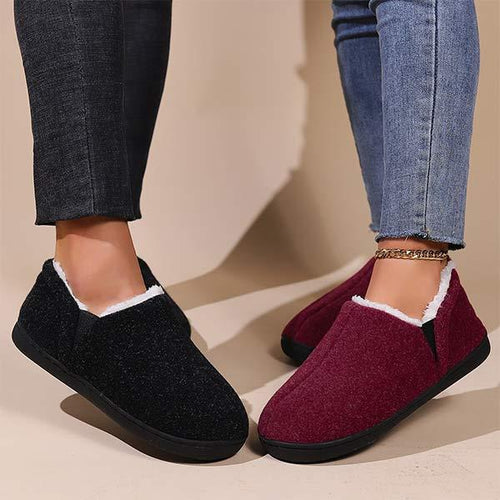 Women's Cozy Indoor Cotton Shoes 19639318C