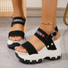 Women's Chunky Heel Open Toe Platform Sandals 36218535C