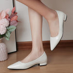 Women's Elegant Commuting Pointed Toe Low Heels 86019748S