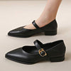 Women's Pointed Toe Vintage Mary Jane Shoes with Single Strap 41470477C