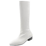 Women's Casual Pointed Toe Flat Knee-High Boots 99003573S