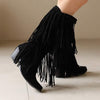 Women's Pointed Toe High Heel Fringe Boots 95134075C